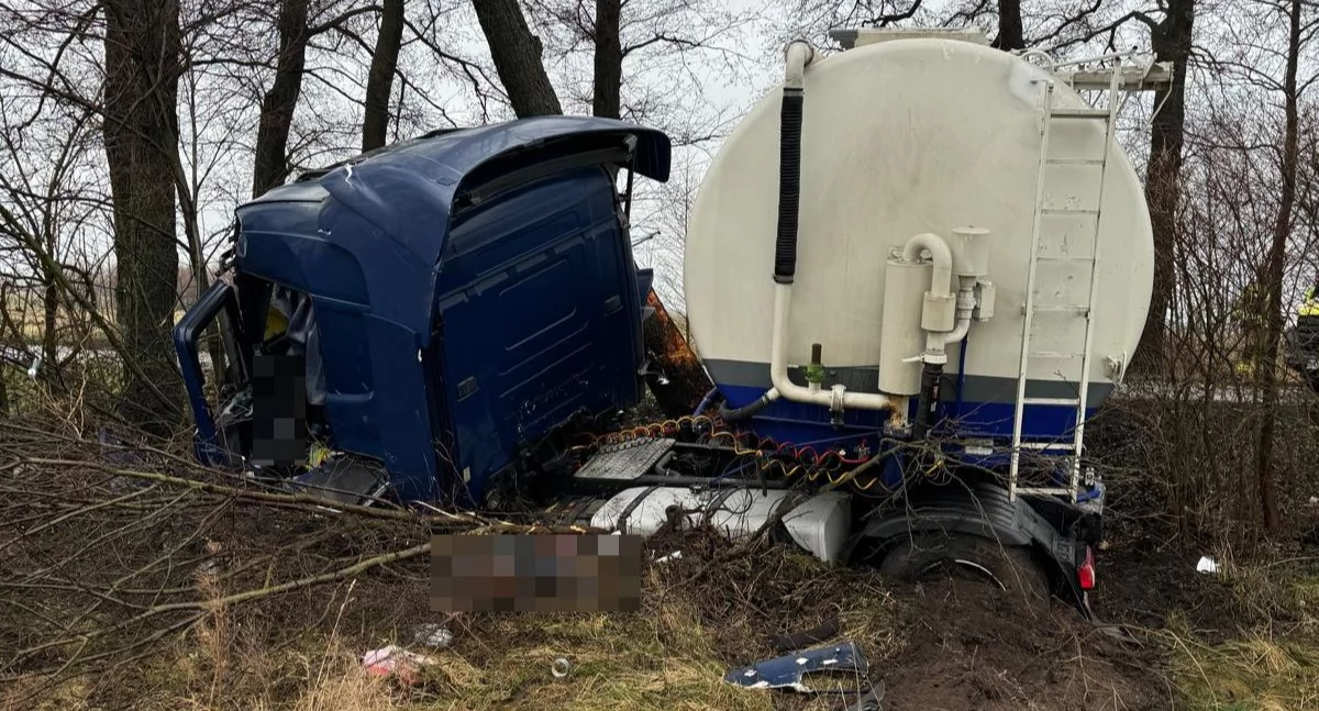 Ciężarówka w rowie w Stężycy! Scania zablokowała drogę po uderzeniu w drzewa