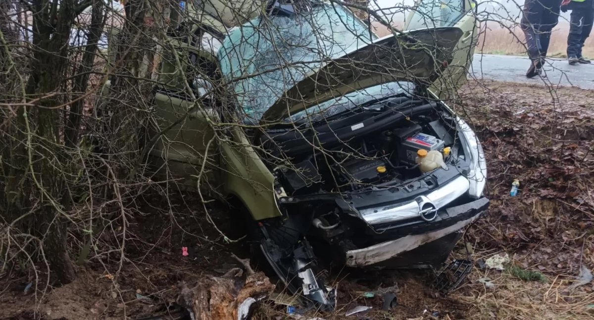 Dramatyczny poranek w Zielonym Kącie. Opel zmiażdżony po uderzeniu w drzewo