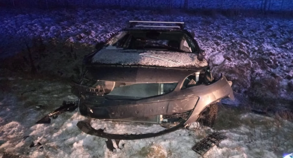 Groźny wypadek na trasie S17! Łoś na drodze doprowadził do kolizji dwóch aut