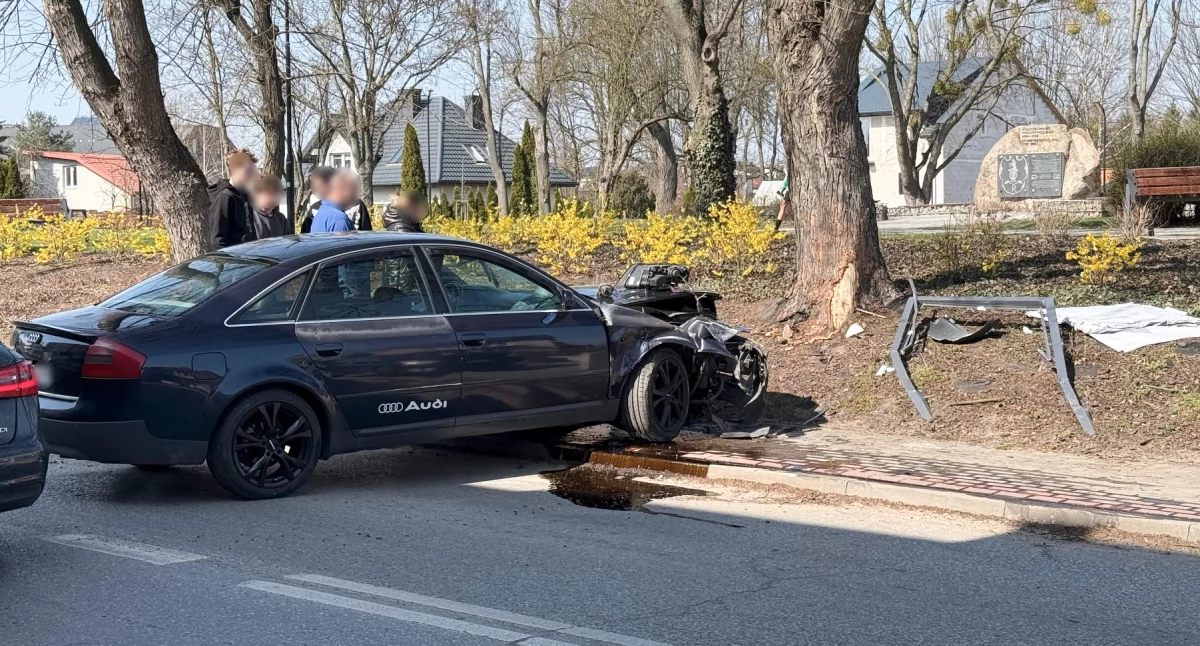 Kierowca audi wjechał w drzewo w centrum miasta
