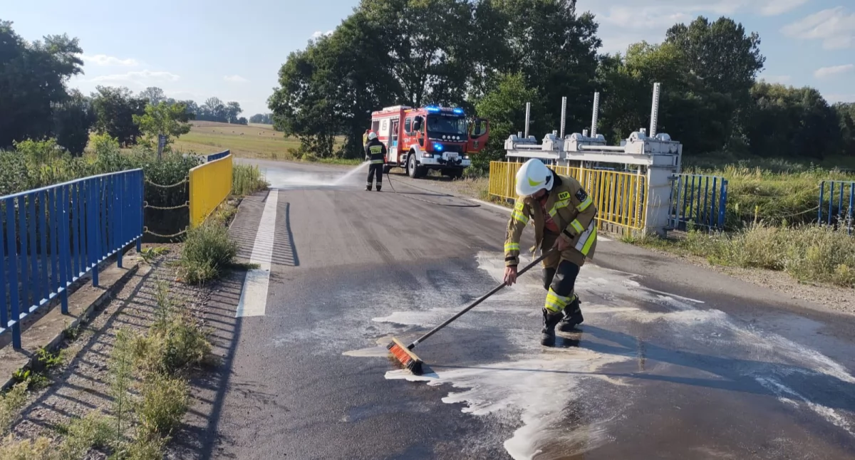 Plama ropopochodna na drodze w Sobieszynie. Interweniowali strażacy OSP