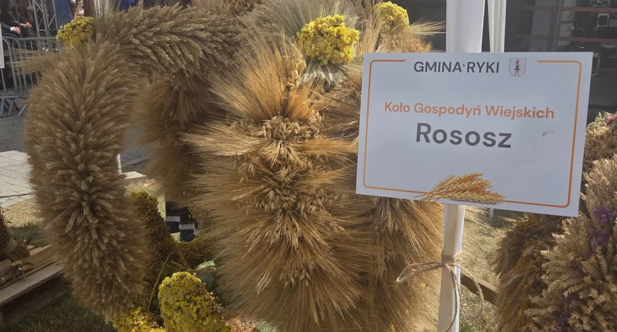 Kolorowy korowód, konkurs wieńców i koncert gwiazdy. Dożynki Gminne w Rykach za nami