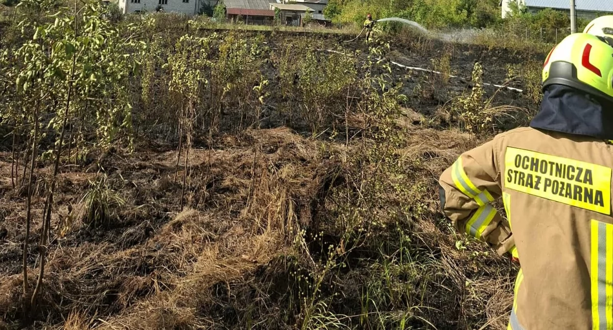 Pożar traw przy ul. Sadowej w Rykach. Strażacy w akcji