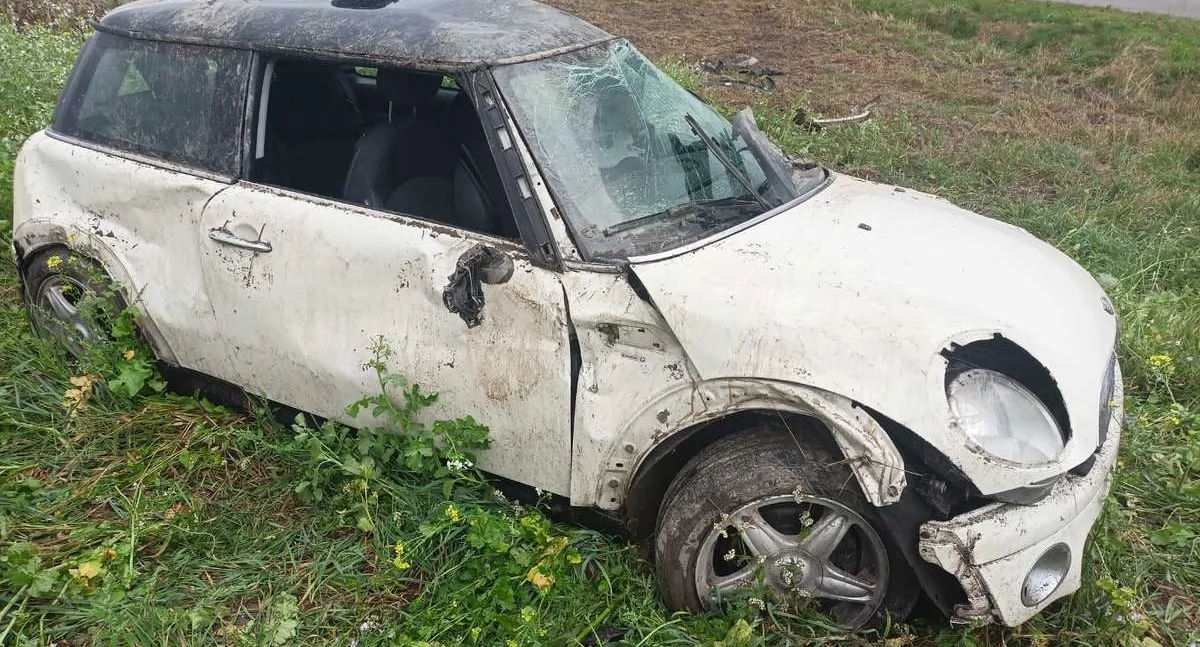 Dachowanie w Lendzie Wielkim! Mini próbowało ominąć dzikie zwierzę