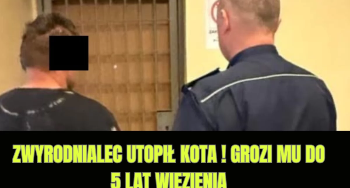 Zwyrodnialec utopił kota ! Grozi mu do 5 lat więzienia