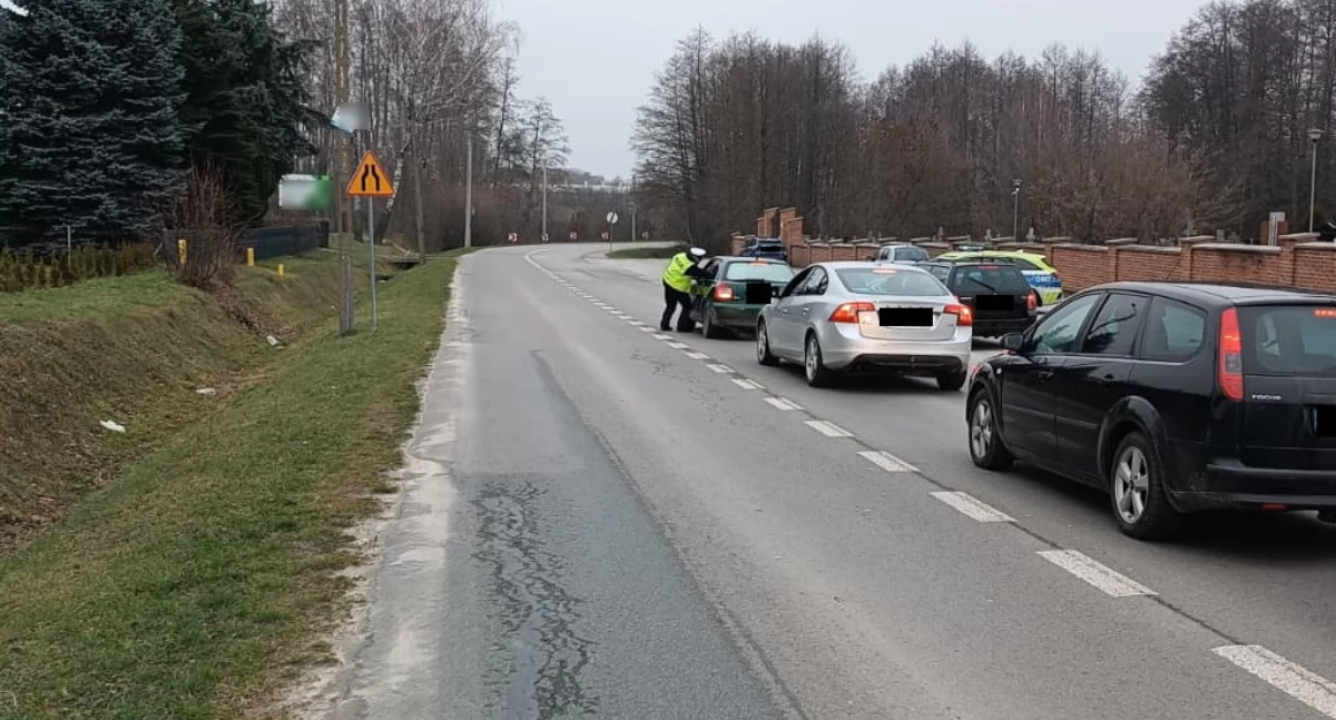 Policja i Żandarmeria sprawdziły trzeźwość kierowców. Duża akcja na drogach 