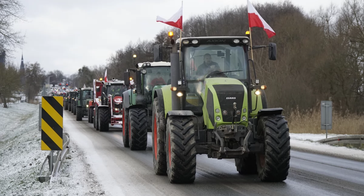 Rolnicy wyjechali na ulice. Mówią: STOP Mercosur. Zobacz zdjęcia z protestu w Rykach