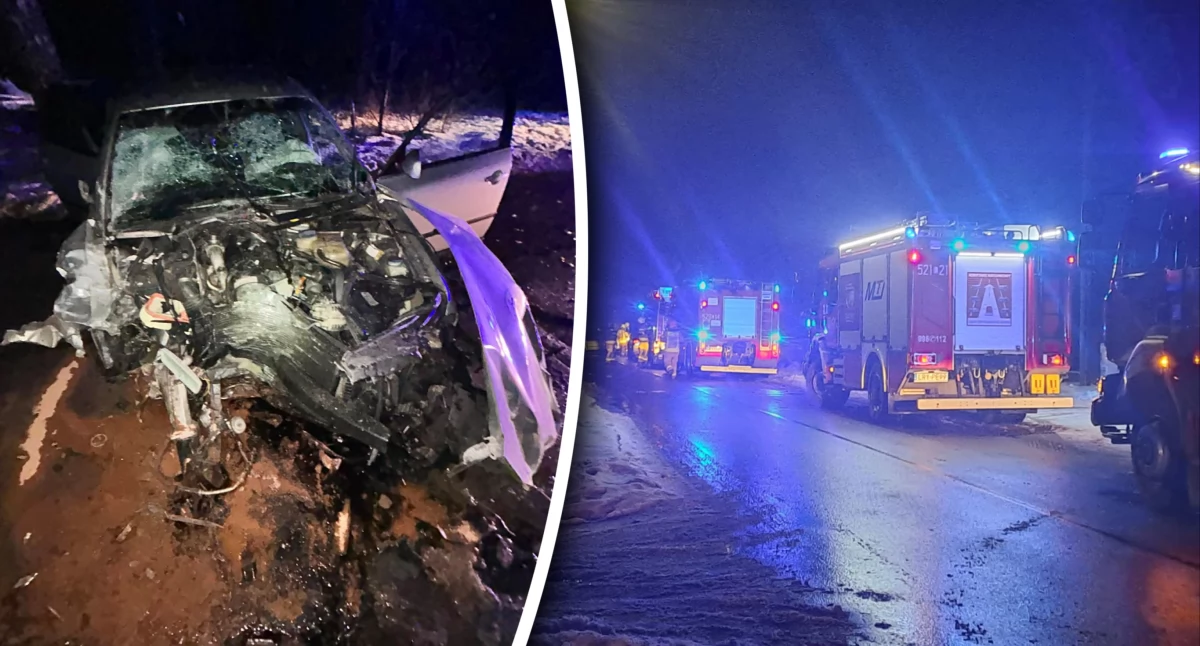 Groźny wypadek. Auto rozbiło się o drzewo i słup energetyczny