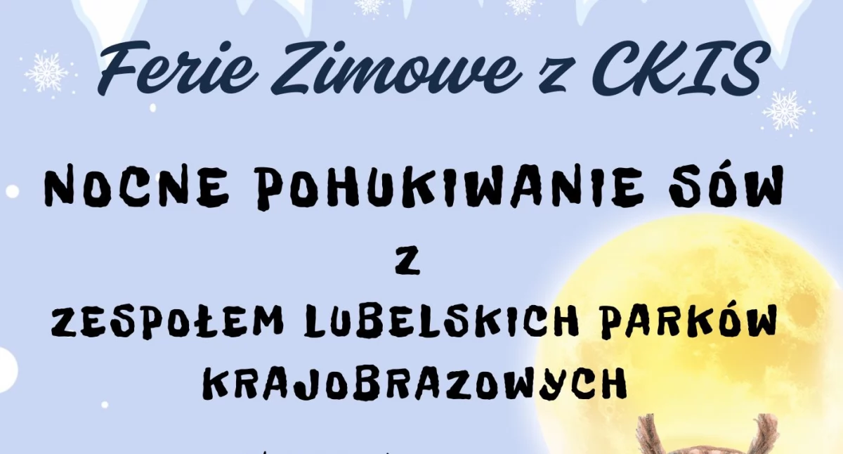 Poznaj życie sów przy ognisku! Nocne wydarzenie już w piątek