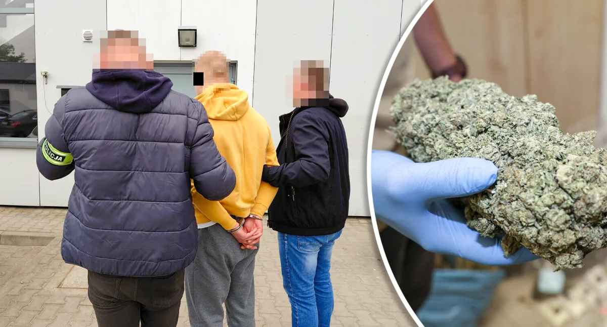 25-latek aresztowany za handel narkotykami i uprawę konopi
