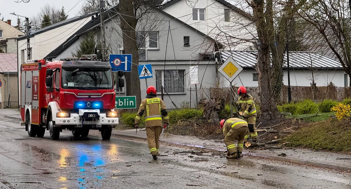 Wiatr siał zniszczenia w powiecie. Strażacy odnotowali 30 interwencji w jeden dzień