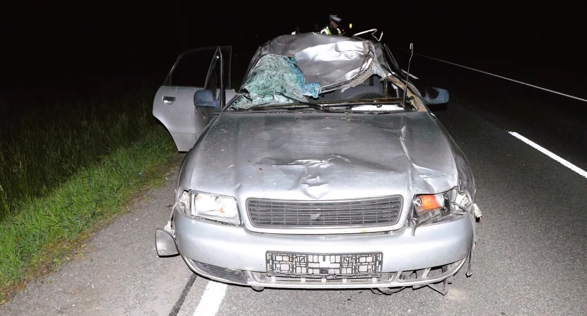 Łoś wyskoczył pod koła. Dwóch młodych mężczyzn trafiło do szpitala