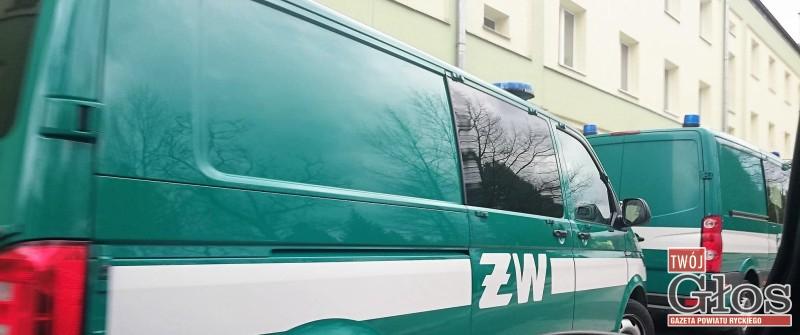 17 osób zatrzymanych