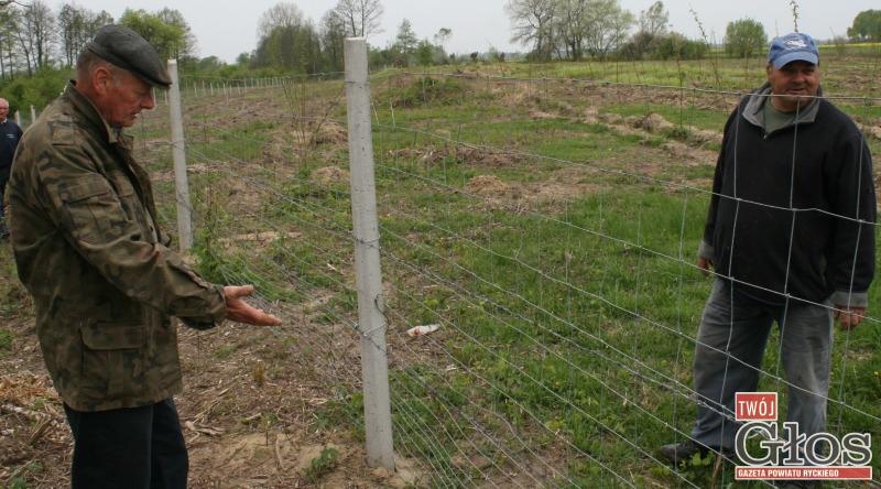 Wspólnota w Stężycy zasadziła tysiące drzew
