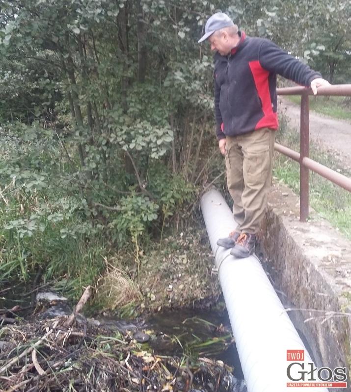 Bobry szkodzą przeprawie przez rzekę
