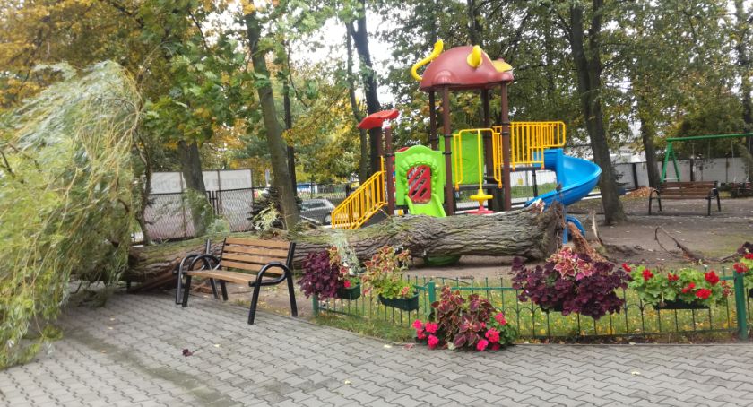 Ryki - drzewo runęło na plac zabaw