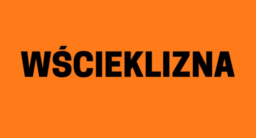 Sprawdź, jakie kary grożą za nieszczepienie psa 