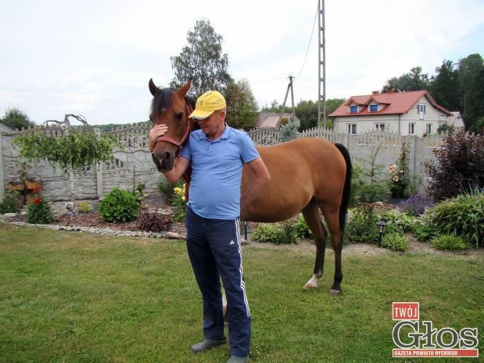 Wystawa i championat koni póki co bez patronatu