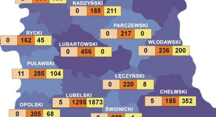 162 osoby objęte kwarantanną w powiecie ryckim 