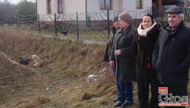 Mieszkańcy boją się bezdomnych psów