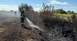 Pożar nieużytków w Edwardowie. Trzy zastępy straży w akcji