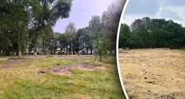 Mieszkańcy zaniepokojeni wycinką drzew w parku Jarmo&hellip;