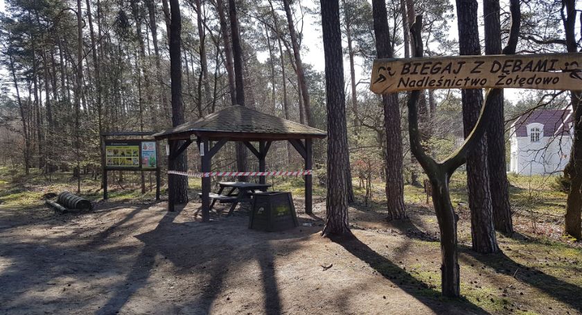 Spacery po lesie? Tak, ale według pewnych zasad 