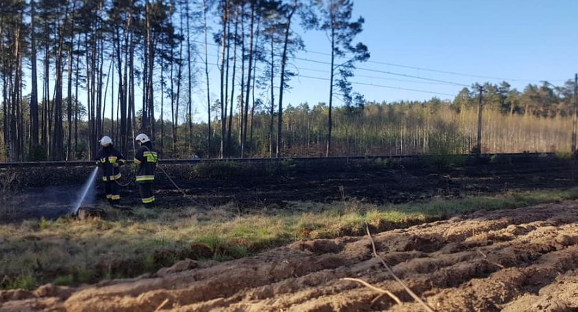 Na terenie całej Polski panuje susza. Były pożary na terenie Nadleśnictwa Żołędowo