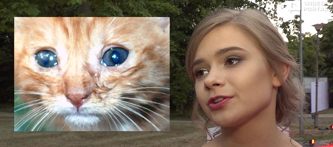 Julia Wróblewska potępiła czyn 10-latki, która okaleczyła kota