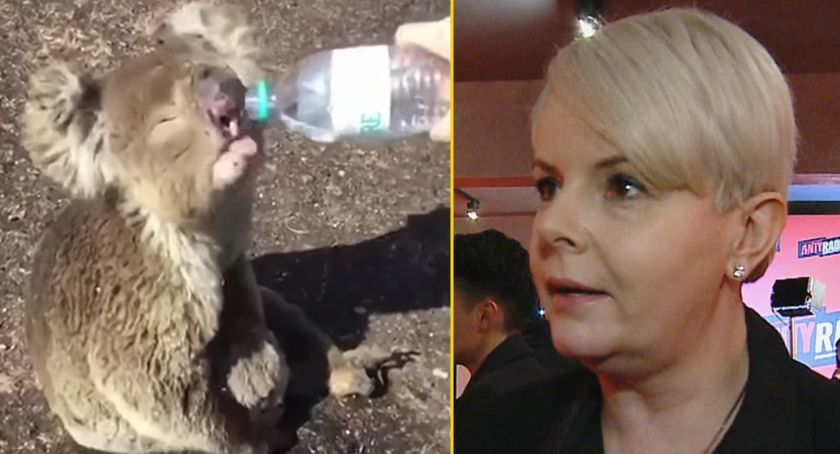 Polskie gwiazdy ruszyły na pomoc płonącej Australii. Karolina Korwin Piotrowska zaadaptowała koalę!