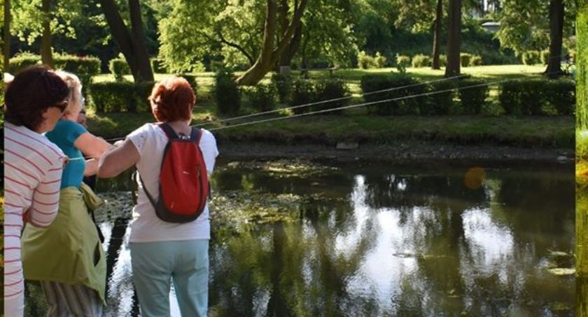 Piknik NGO w Parku Miejskim
