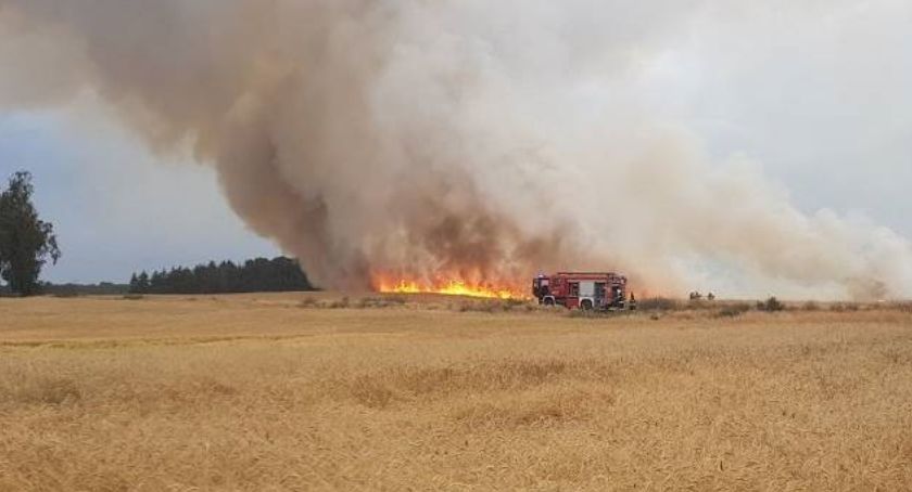 Pożar zboża oraz słomy w miejscowości Annopol.