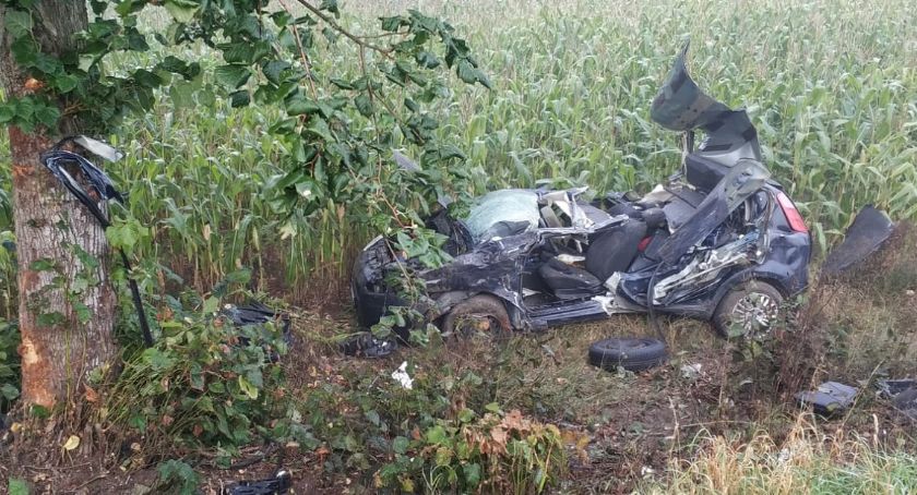 Poważny wypadek w miejscowości Łoje. Pojazd uderzył w drzewo