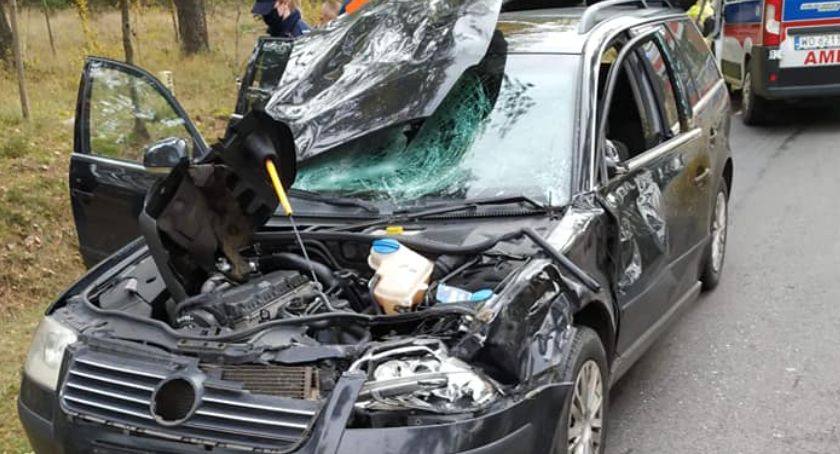 Zderzenie z jeleniem. Jedna osoba poszkodowana
