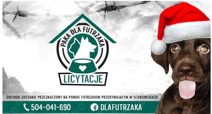 Ruszyła Paka dla Futrzaka, czyli zbiórka przeznaczona okolicznym schroniskom