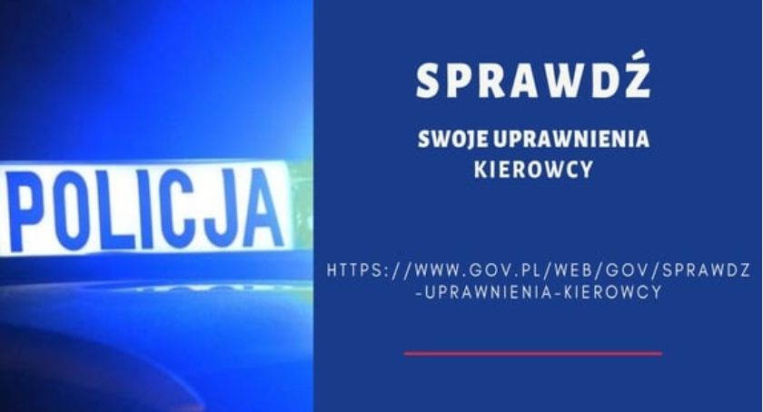 Sprawdź uprawnienia kierowcy na stronie gov.pl