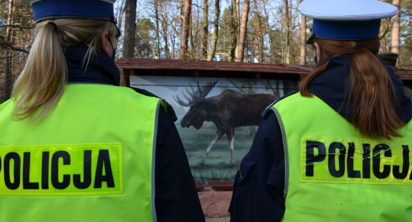 Wyjątkowy mural i wspólna akcja mławskiej policji i nadleśnictwa 