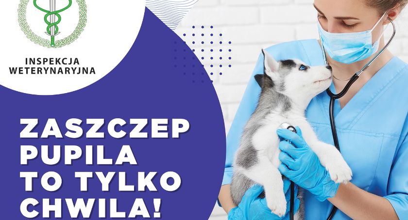 Kampania informacyjna - Zaszczep pupila, to tylko chwila!