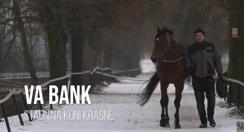 Va Bank ze Stadniny Koni Krasne [wideo]
