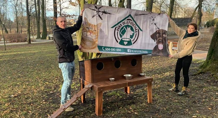 Budy dla wolnożyjących kotów już stoją w Przasnyszu
