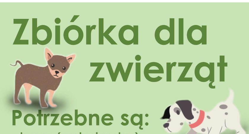 Rusza zbiórka dla zwierząt