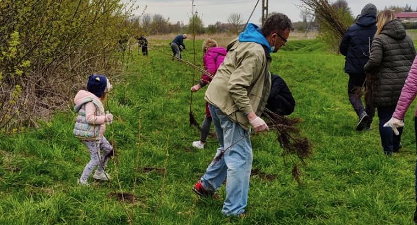 Nowe drzewa przy ul. Przemysłowej w Przasnyszu