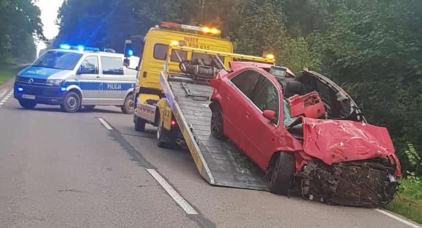 Tragiczny finał zderzenia osobówki ze zwierzęciem leśnym