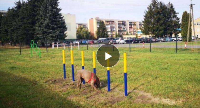 Kurier Mazowiecki o przasnyskiej psiej polanie [Wideo]