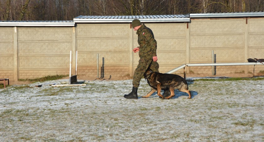 5  Mazowiecka Brygada Obrony Terytorialnej rozpoczyna program „GPR K9 WOT”