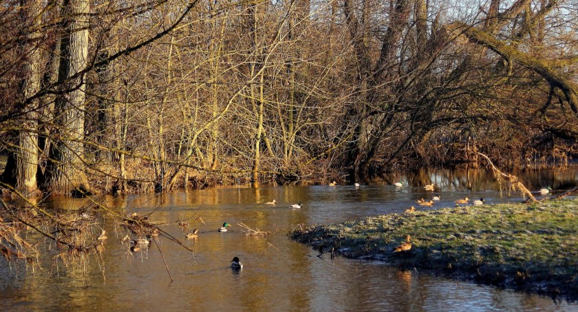 Wakacje w Powiecie Przasnyskim: Czym zachwyca Gmina Przasnysz?