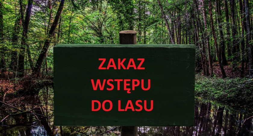 Uwaga. Okresowy zakaz wstępu do lasu