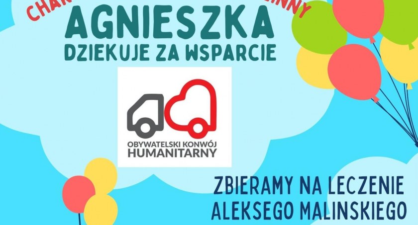 Charytatywny Piknik Rodzinny w Parku w Lesznie 