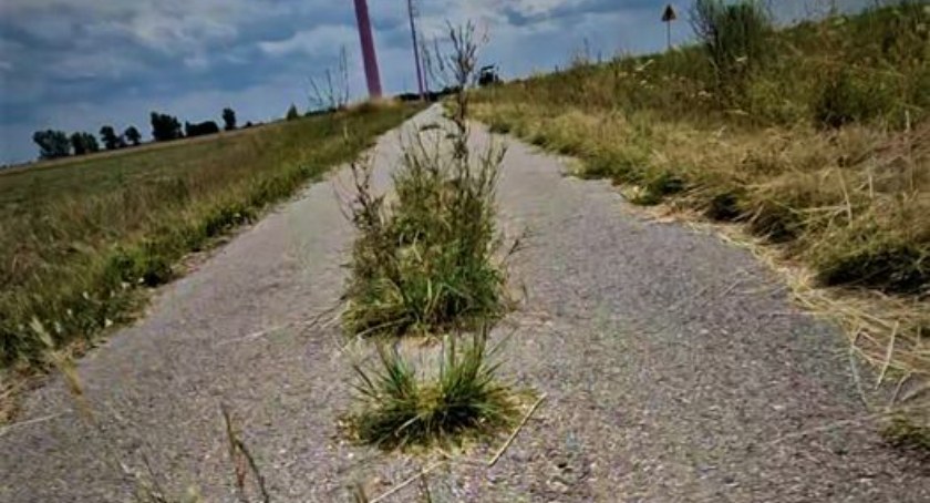 Koniec z fuszerką na ścieżce rowerowej przy „różowych słupach”! Starostwo właśnie pozyskało środki i zacznie jej remont