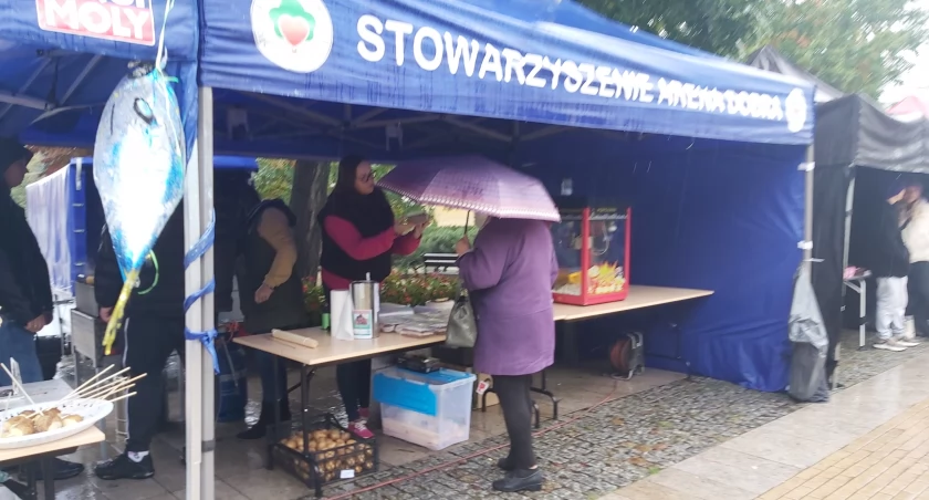 Stowarzyszenie Arena Dobra gościła na Jesiennym Jarmarku w Ciechanowie. Zbierali dla Agi i Kazia